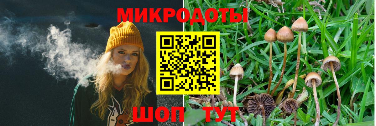 Галлюциногенные грибы прущие грибы  где купить наркотик  Чита  Вход с VPN  Псилоцибиновые грибы мухоморы 