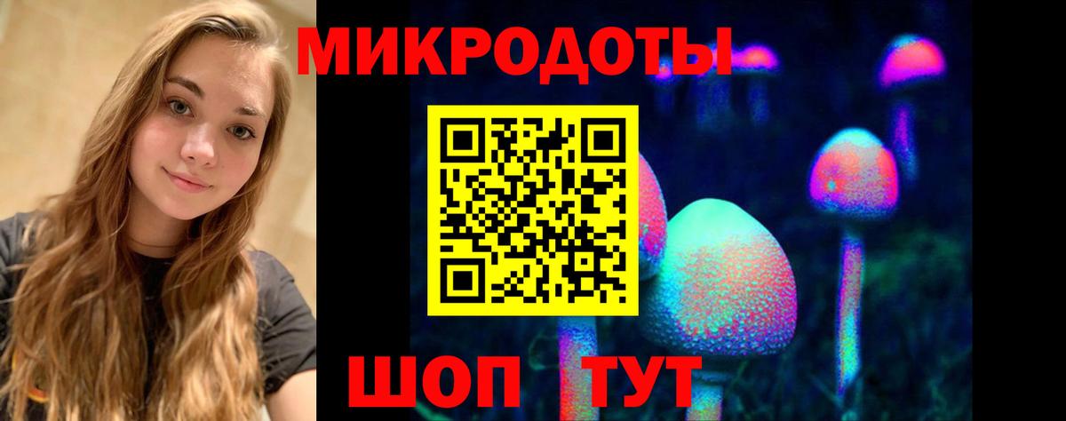 Псилоцибиновые грибы Magic Shrooms Чита