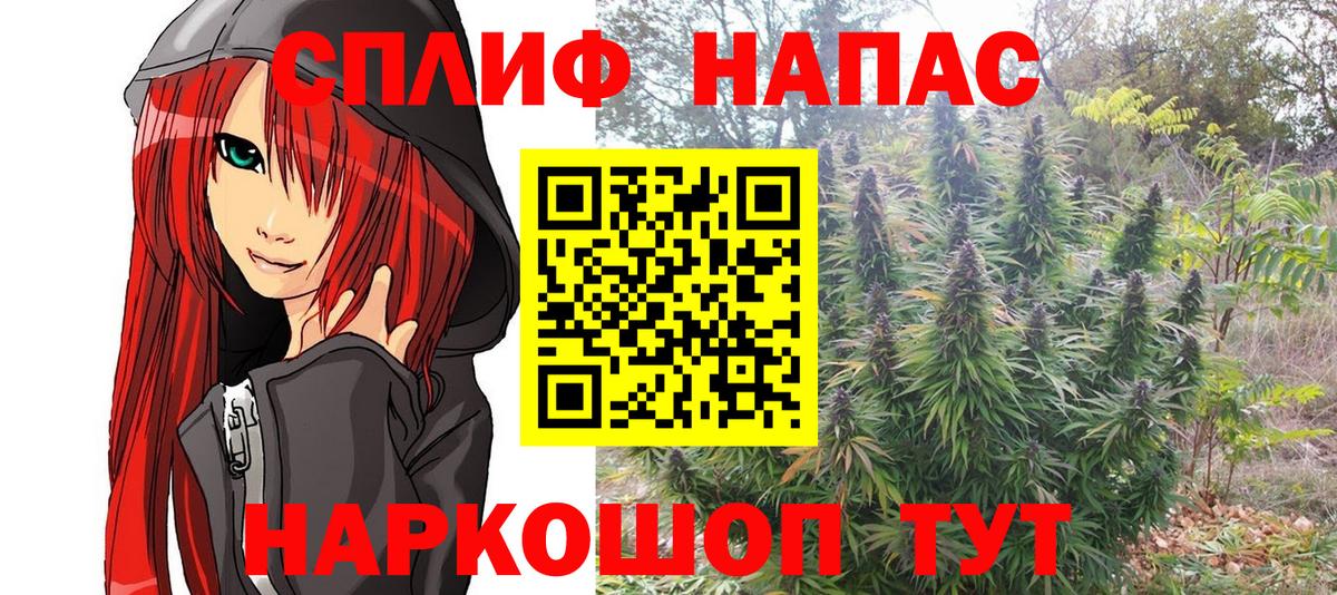 Бошки Шишки гибрид Чита